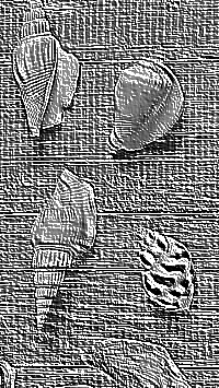 Skamielina