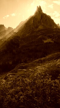 Sepia