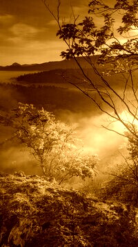 Sepia