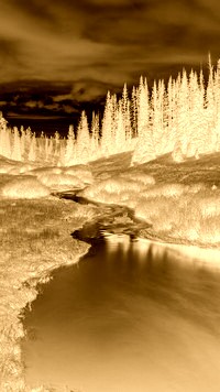 Sepia + Negatyw