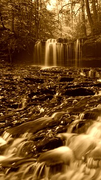 Sepia