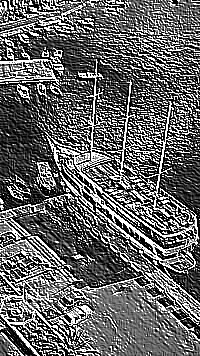 Skamielina