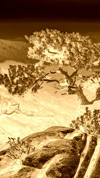 Sepia + Negatyw