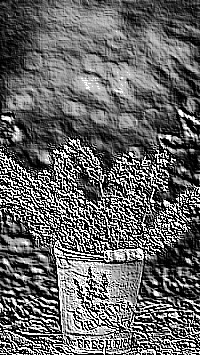 Skamielina