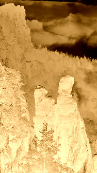 Sepia + Negatyw