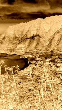 Sepia + Negatyw
