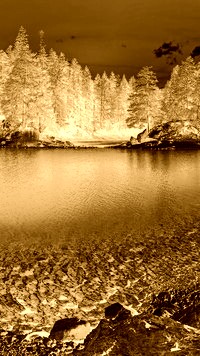Sepia + Negatyw