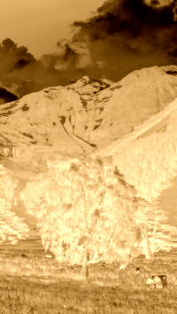 Sepia + Negatyw