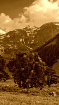 Sepia
