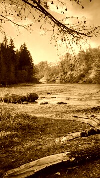 Sepia