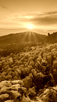 Sepia