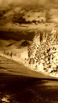 Sepia + Negatyw