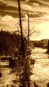 Sepia