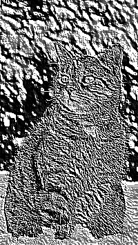 Skamielina