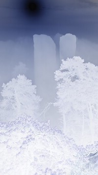 Negatyw