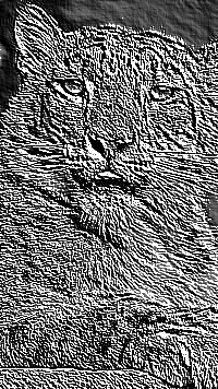 Skamielina