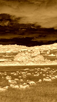 Sepia + Negatyw
