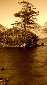 Sepia