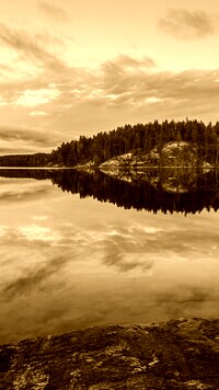 Sepia