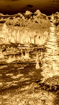 Sepia + Negatyw