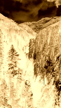 Sepia + Negatyw