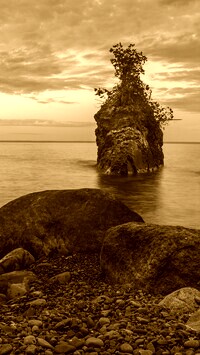Sepia