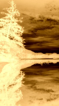 Sepia + Negatyw