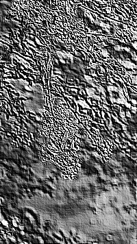 Skamielina