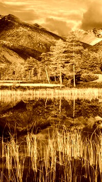 Sepia