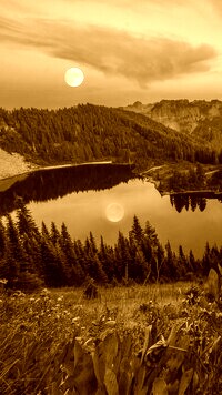 Sepia