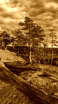 Sepia