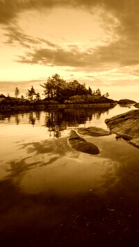 Sepia