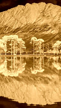 Sepia + Negatyw