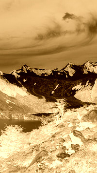 Sepia + Negatyw