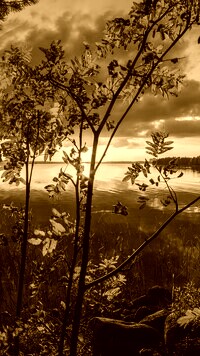 Sepia