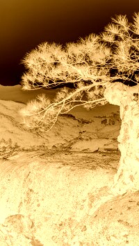 Sepia + Negatyw