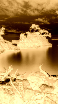 Sepia + Negatyw