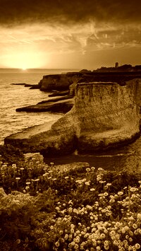 Sepia