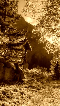 Sepia