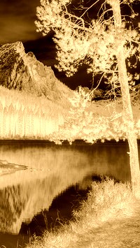Sepia + Negatyw