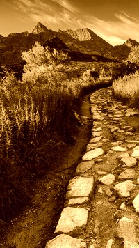 Sepia