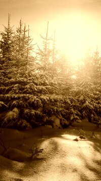 Sepia