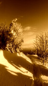 Sepia