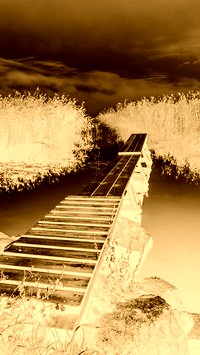 Sepia + Negatyw
