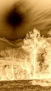 Sepia + Negatyw