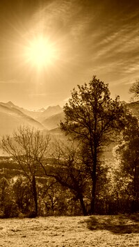Sepia