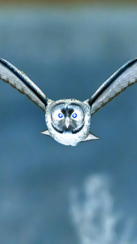 Negatyw