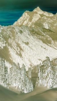 Negatyw