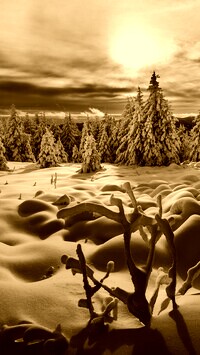 Sepia