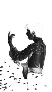 Szary + Negatyw
